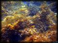 DSC02484 -retouche1